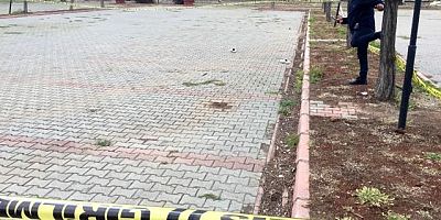 Tır sürücüsü randevulaştığı iki kişi tarafından boğazı kesilerek öldürüldü