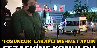 'Tosuncuk' lakaplı Mehmet Aydın cezaevine konuldu