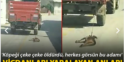 Traktörün römorkuna bağladığı köpeği metrelerce sürükledi