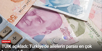 TÜİK açıkladı: Türkiye'de ailelerin parası en çok buraya gidiyor