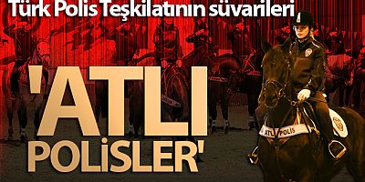 Türk Polis Teşkilatının süvarileri: 'Atlı Polisler'