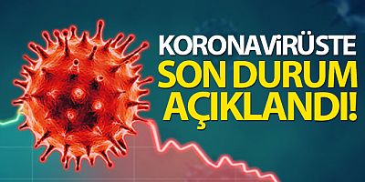 Türkiye'de son 24 saatte 7.489 koronavirüs vakası tespit edildi