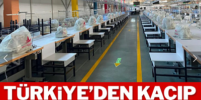 Türkiye'den kaçıp Mısır'ı üst yaptılar