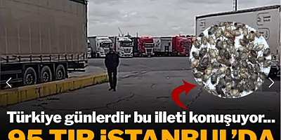 Türkiye günlerdir bu illeti konuşuyor... 95 TIR İstanbul'da rehin tutuluyor
