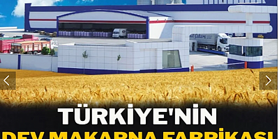 Türkiye'nin dev gıda fabrikası Japonlara satıldı