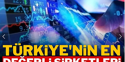 Türkiye'nin en değerli şirketleri yeniden sıralandı: Koç Holding, Aselsan, THY veya Garanti Bankası değil