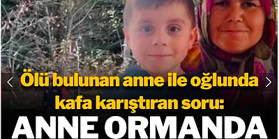 Türkiye'nin konuştuğu anne ile oğul donarak ölmüş