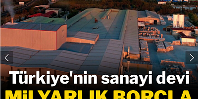 Türkiye'nin sanayi devi milyarlık borçla iflas etti