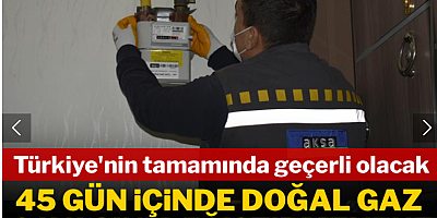 Türkiye'nin tamamında geçerli olacak: 45 gün içinde doğal gaz sayacını değiştirmeyene 10 bin TL ceza
