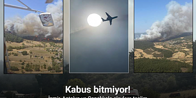 Türkiye yangınlarla mücadele ediyor: İzmir, Antalya ve Çanakkale alevlere teslim!