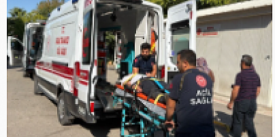 Tütün işçilerini taşıyan minibüs devrildi: 12 yaralı