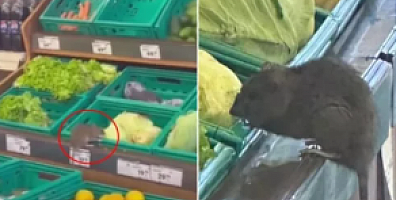 Üç harfli market zincirinde mide bulandıran görüntü