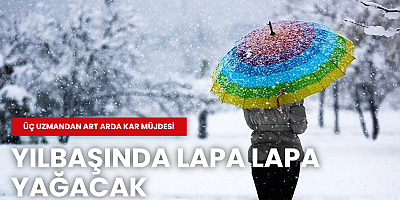 Üç uzmandan art arda kar müjdesi: Yılbaşında lapa lapa yağacak