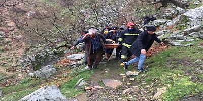 Uçuruma yuvarlanan çobanı itfaiye kurtardı