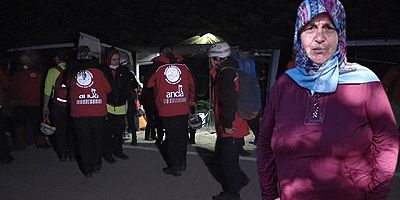 Uludağ'da, piknikte odun toplamaya çıkan kadın kayıp 