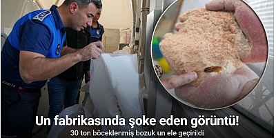 Un fabrikasında şoke eden görüntü: 30 ton böceklenmiş bozuk un ele geçirildi