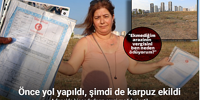 Üniversite yıllarca araziyi işgal etti, belediye istimlak etmeden bulvar geçirdi, şimdi de başkası karpuz ekti