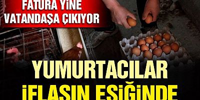 Üreticiler iflasın eşiğinde, çaresiz