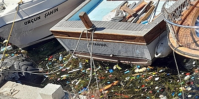 Üsküdar Balıkçı Barınağı Bugünlerde Pislikten Geçilmiyor