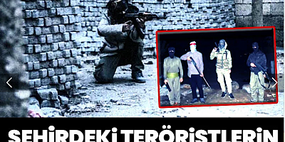 Uyuyan hücreler de silah bırakacak mı?