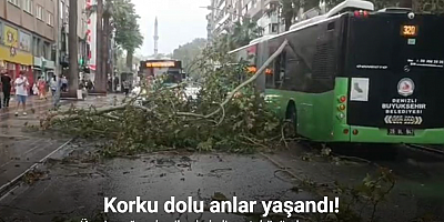 Üzerine ağaç devrilen belediye otobüsünde can pazarı