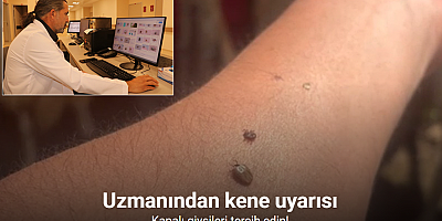 Uzmanından kene uyarısı; Kapalı giysileri tercih edin!