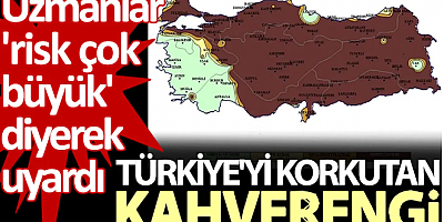 Uzmanlar 'risk çok büyük' diyerek uyardı: Türkiye'yi korkutan kahverengi
