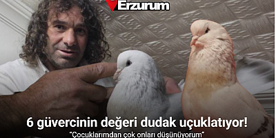 Uzun yol şoförünün sıradışı güvercin sevdası: 6 güvercininin toplam değeri 700 bin TL