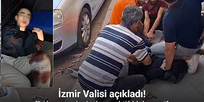 Vali Elban: 