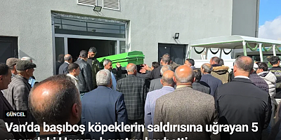 Van’da başıboş köpeklerin saldırısına uğrayan 5 yaşındaki Hamza hayatını kaybetti