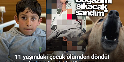 Van’da bir hafta arayla 3’üncü köpek saldırısı: 11 yaşındaki çocuk yaralandı