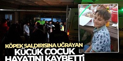 Van'da köpek saldırısına uğrayan küçük çocuk hayatını kaybetti