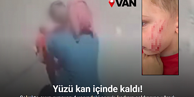 Van’da sokakta oynayan çocuğa saldırı: O anlar kamerada