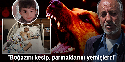 Van’daki köpek dehşetinde kan donduran detaylar