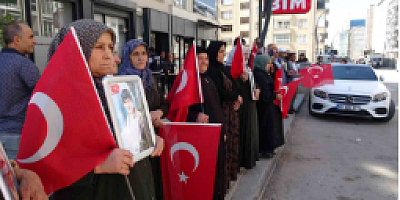 Vanlı anne: 
