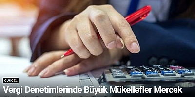 Vergi Denetimlerinde Büyük Mükellefler Mercek Altında: Oran Yüzde 31,3'e Çıktı