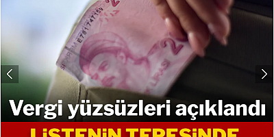 Vergi yüzsüzleri açıklandı: Listenin tepesinde el konulan holding var