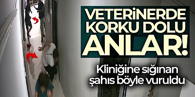Veteriner kliniğinde dehşet anları kamerada