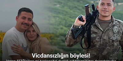 Vicdansızlar: 