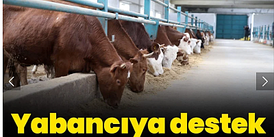 Yabancıya destek yerliye köstek