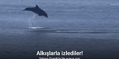 Yalova Esenköy’de yunus şov