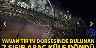 Yanan TIR'ın dorsesinde bulunan 7 sıfır araç küle döndü