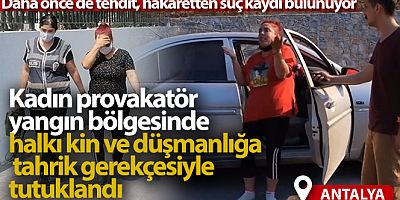 Yangın bölgesinde halkı kin ve düşmanlığa tahrik gerekçesiyle tutuklandı