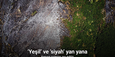 Yangın sonrası acı tablo: ’Yeşil’ ve ’siyah’ yan yana