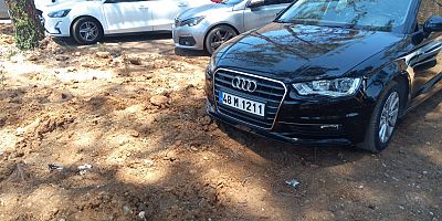 Yangından sonra dikilen fidanların üzerine araçlarını park ettiler