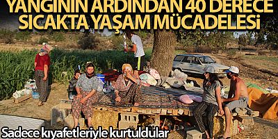 Yangının ardından 40 derece sıcakta çardakta yaşam mücadelesi