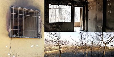 Yangının bilançosu ağır: 300 hektar orman, 500'den fazla aile zarar gördü