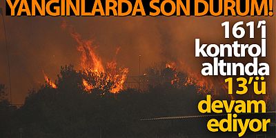 Yangınlarda son durum: 161'i kontrol altında, 13 yangın devam ediyor