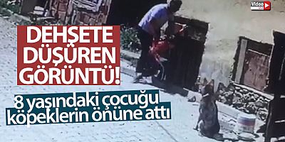 Yaramazlık yaptığı gerekçesiyle 8 yaşındaki çocuğu köpeklerin önüne attı