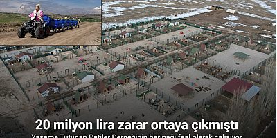Yaşama Tutunan Patiler Derneğinin barınağı faal olarak çalışıyor